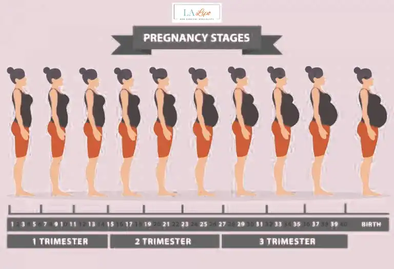 First Trimester (Weeks 1–12): Early Changes You Might Not Notice Waltham Cross